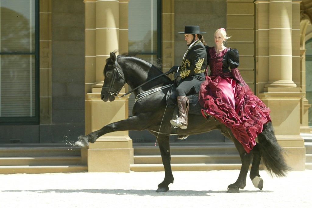 GOTRH Black horse with riders